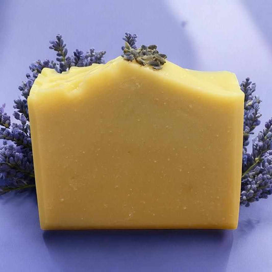 Large goat milk and honey lavender soap bar with dried lavender on top and fresh lavender flowers in the background